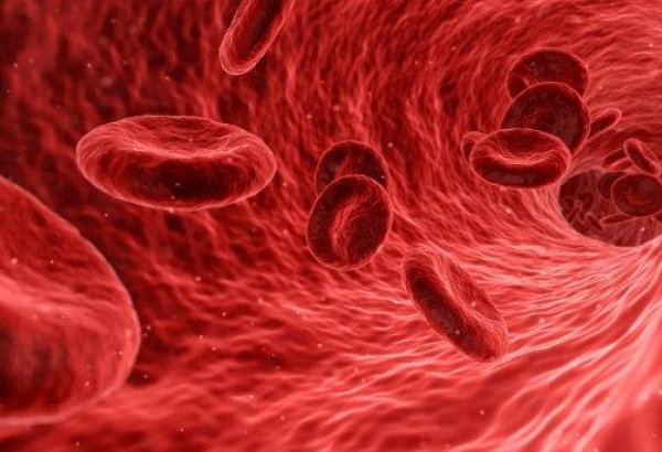 Причины необеспечения больных гемофилией факторами свертывания крови в Азербайджане
