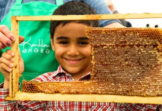 Ярмарка мёда в Баку (ФОТО)