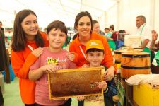 Всемирный день пчел в Азербайджане (ФОТО)