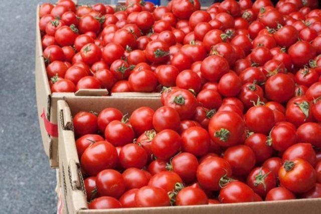 Назван объем экспорта туркменских томатов