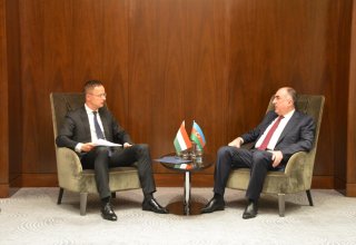 Глава МИД Азербайджана встретился с министром иностранных дел и торговли Венгрии (ФОТО)