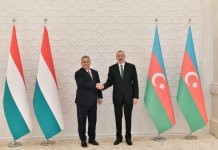 Azerbaijani president meets Hungarian PM (PHOTO)