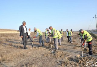 Azerbaijan's Absheron district's residents preparing to participate in initiative to plant 650,000 trees