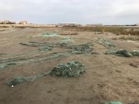 В Азербайджане начались акции под девизом "Говорим нет рыболовству синтетическими сетями и запрещенными орудиями“ (ФОТО)