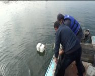 Мингячевирское водохранилище очищено от незаконных рыболовных средств (ФОТО)