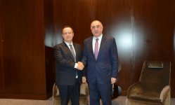 Azerbaijani, Serbian FMs meet (PHOTO)