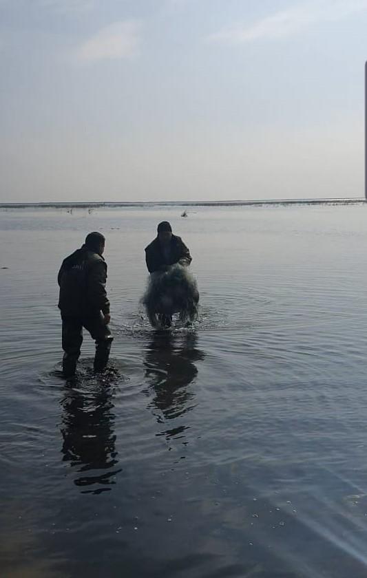 Побережье Каспийского моря очищается от синтетических сетей  (ФОТО)