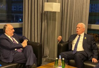 Эльмар Мамедъяров встретился с министром иностранных дел Палестины (ФОТО)