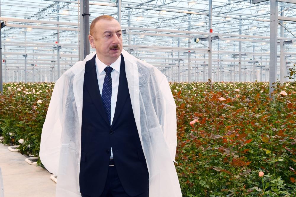 Президент Ильхам Алиев ознакомился с  цветоводческой теплицей в Габале (версия 2)
