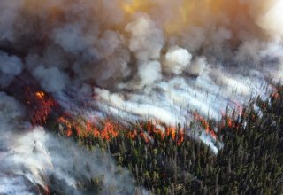 Специалисты из Канады восстановят в Калифорнии поврежденные лесными пожарами электросети