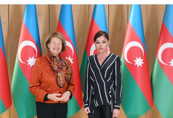 Azerbaijan's First VP meets with UK PM's trade envoy to Azerbaijan (PHOTO)