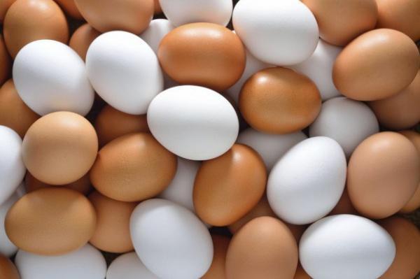 Georgia shares data on export-import of eggs (January through August 2021)