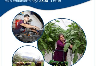 В Азербайджане в этом году к программе самозанятости привлечено свыше 8300 человек