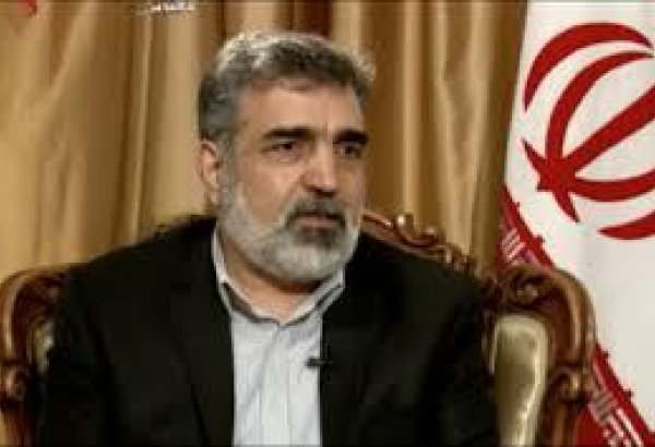 Иран опроверг утверждения о предоставлении доступа лицам к ядерным объектам страны