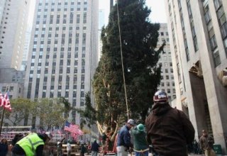В центре Нью-Йорка установили 23-метровую рождественскую ель