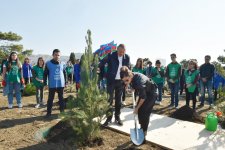 Президент Ильхам Алиев и Первая леди Мехрибан Алиева приняли участие в акции по посадке деревьев в Хатаинском районе Баку (ФОТО) (версия 2)