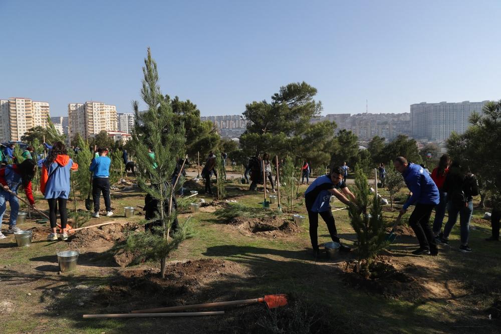 Azerbaijani president, first lady attend tree-planting campaign in Khatai district, Baku (PHOTO)