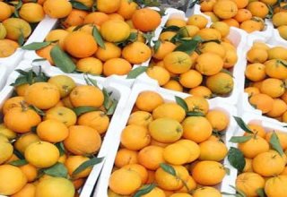 Азербайджан многократно увеличил экспорт цитрусовых