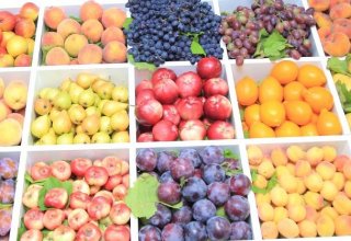 Азербайджан с начала года увеличил экспорт фруктов и овощей