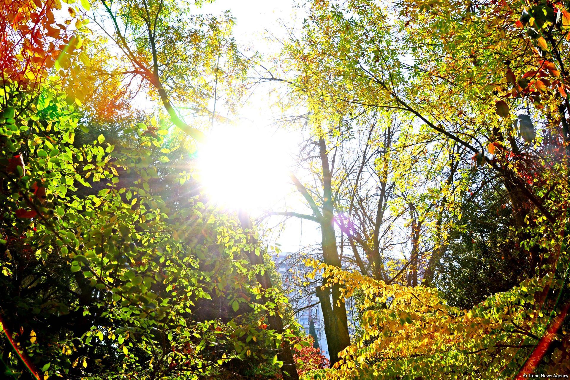 Природа прекрасна круглый год, но осенью - великолепна (Фоторепортаж)