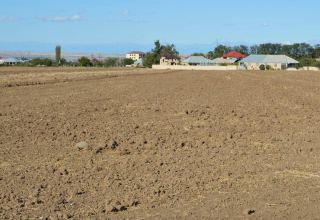 Деградированные и непригодные земли в Азербайджане будут реабилитированы
