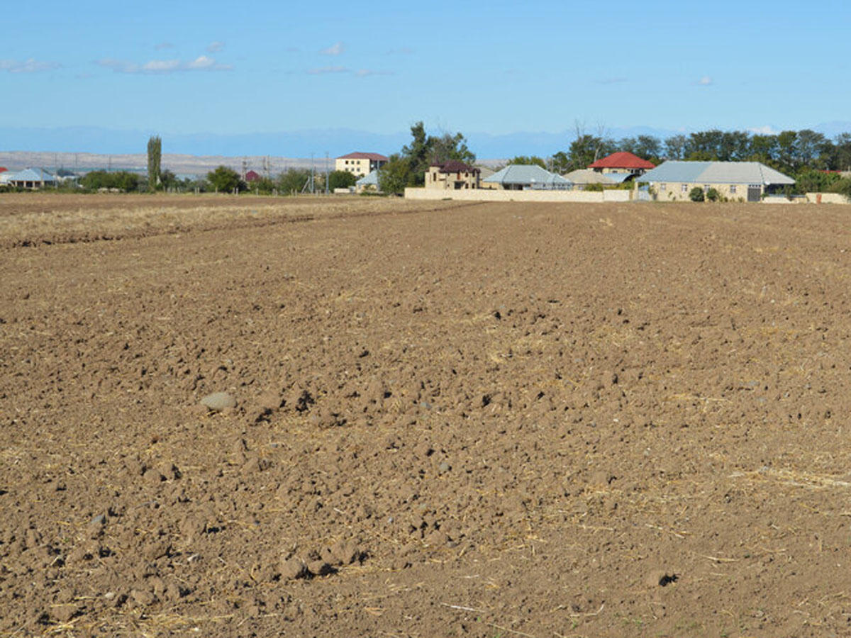 Azerbaijan Amelioration and Water Management OJSC to purchase land plots for state needs