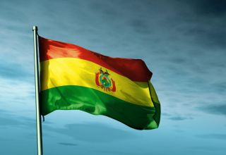 В Боливии заявили, что выборы президента страны пройдут примерно в середине марта