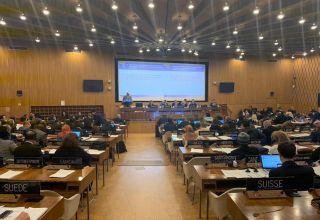 На заседании ЮНЕСКО в Париже армянская делегация совершила провокацию (ФОТО)