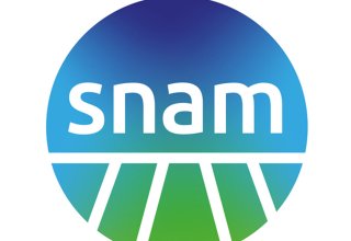 Snam arranging fixed income investor calls to optimize financial structure