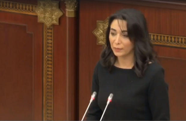 Ombudsman Tovuzda azyaşlının qətli ilə bağlı Baş prokurora müraciət edib