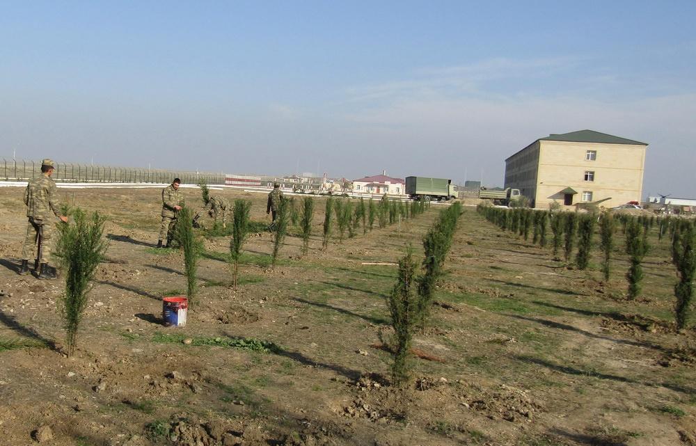 Azərbaycan Ordusunda ağacəkmə aksiyası davam edir (FOTO)