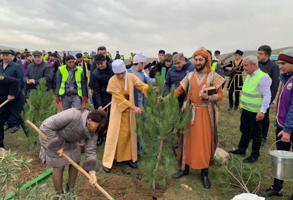 Жители Абшеронского района приняли активное участие в кампании по высадке деревьев (ФОТО)