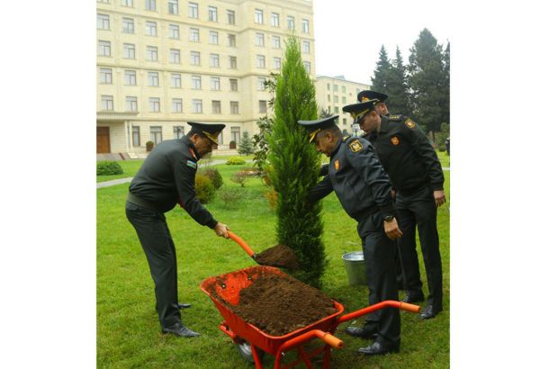 Министерство обороны Азербайджана приняло участие в акции по высадке деревьев (ФОТО)