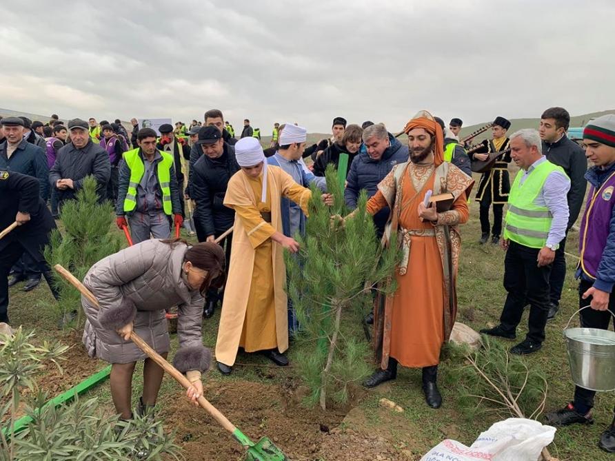 Жители Абшеронского района приняли активное участие в кампании по посадке деревьев (ФОТО) (версия 2)