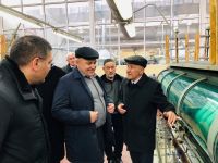 Азербайджанская промышленная корпорация подписала с «Узбекипаксаноат» меморандум о развитии шелководства (ФОТО)