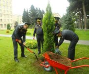 Министерство обороны Азербайджана приняло участие в акции по высадке деревьев (ФОТО)