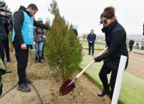 President Ilham Aliyev, First Lady Mehriban Aliyeva attend tree-planting campaign in Shamakhi district (PHOTO)