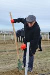 Праздник в Мушфигабаде - акция по посадке 650 тыс. деревьев, концертная программа, знаменитости (ФОТО)