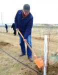 Trend.az, Day.az, Milli.az & Azernews.az staff take part in tree planting campaign (PHOTO/VIDEO)