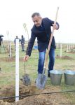 Trend.az, Day.az, Milli.az & Azernews.az staff take part in tree planting campaign (PHOTO/VIDEO)