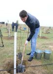 Trend.az, Day.az, Milli.az & Azernews.az staff take part in tree planting campaign (PHOTO/VIDEO)