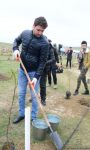 Trend.az, Day.az, Milli.az & Azernews.az staff take part in tree planting campaign (PHOTO/VIDEO)