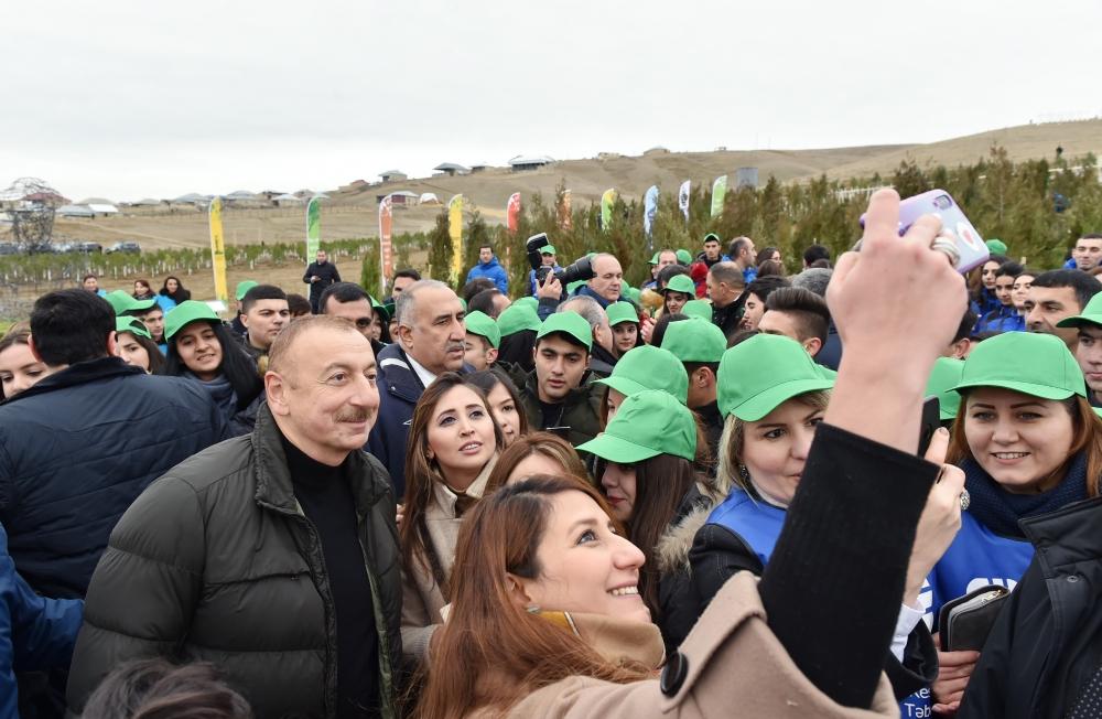 Президент Азербайджана Ильхам Алиев и Первая леди Мехрибан Алиева приняли участие в акции по посадке деревьев в Шамахинском районе (ФОТО) (Версия 2)