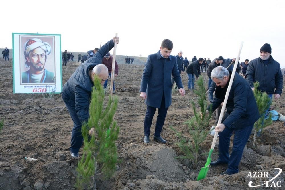 В Тертерском районе прошла акция по высадке деревьев (ФОТО)