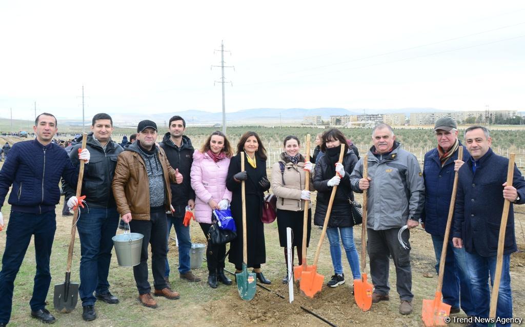 Trend.az, Day.az, Milli.az & Azernews.az staff take part in tree planting campaign (PHOTO/VIDEO)