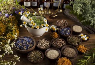 Medicinal plants processing to be launched in Kazakhstan's Almaty