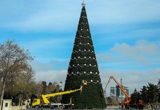 Самая высокая новогодняя елка в Баку будет установлена на площади Азнефть