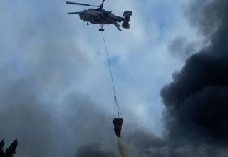 В Лянкяранском районе возник лесной пожар, к тушению привлечен вертолет