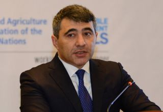 Министр: Засуха и нехватка воды оказывают свое влияние на выращивание хлопка в Азербайджане