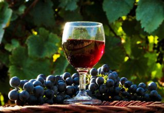 В Азербайджане учреждено  Молодежное объединение виноградарей и виноделов